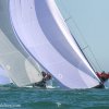RC44 Portsmouth Cup. Photos by Ingrid Abery